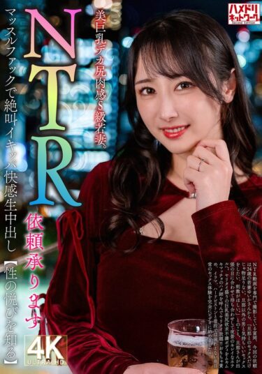 h_1472hmdnv00831ーレビュー