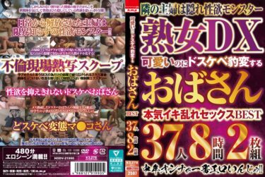 5642hodv21990ーレビュー