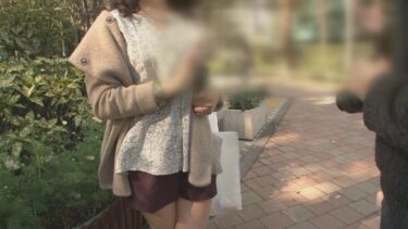 h_1724m993b00009ーレビュー