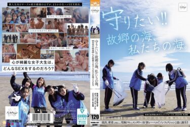 nsodn00001ーレビュー